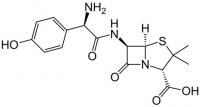 Amoxil formula