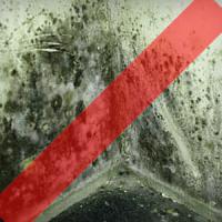 Avoid mold and moisture