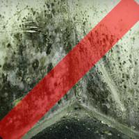 Avoid mold and moisture