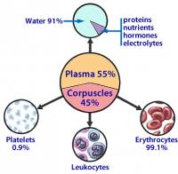 Blood composition