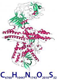 Botulinum toxin