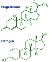 Estrogen and progesterone
