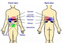 Location of abdominal pain