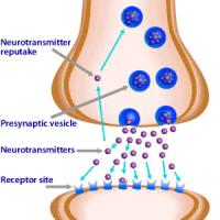 Neurotransmitters