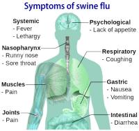 Symptoms of swine flu