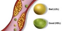 Types of cholesterol