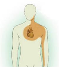 Anginal pain