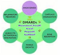 DMARDs