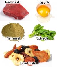 Foods most rich in iron