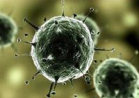 Hepatitis B virus