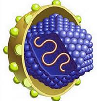 Hepatitis C