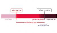 Phases of reproductive cycle