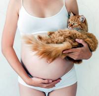 Pregnant woman with cat