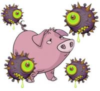 Swine flu